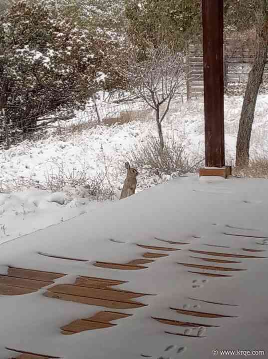 PHOTOS: Winter storm moves through New Mexico leaving snow