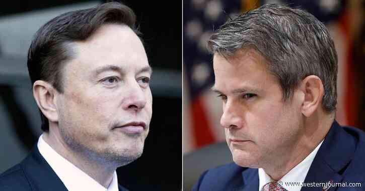 Adam Kinzinger Thinks He's Exposed Elon Musk, It Ends Up Hilariously Blowing Up in His Face