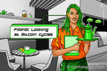 Another ‘strong’ crypto bull run may lie ahead, thinks market analyst Filbfilb