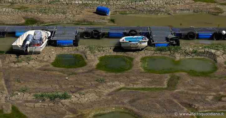 Siccità, le cause del ricorrente travaglio italiano sono molteplici: come sanare queste ferite?