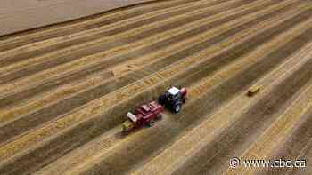 Fertilizer tariffs appear to be here to stay as Russian sanctions continue