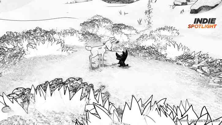 Blanc saw my partner and I team up to help baby animals