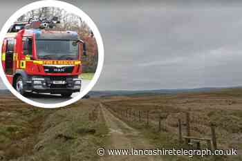 Firefighters tackle wildfire in Worthorne-with-Hurstwood