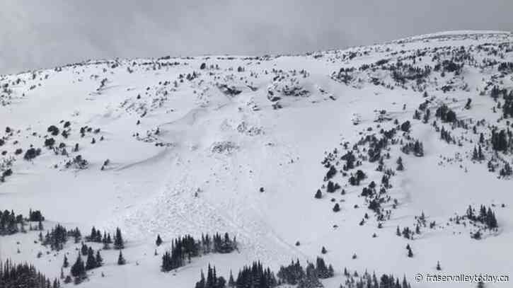 Latest British Columbia avalanche claims two backcountry skiers