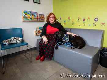 Zebra Centre sees 11 per cent increase in children supported in 2022