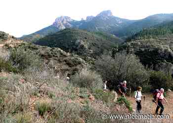 Un nouveau parc naturel régional pourrait voir le jour dans le Var
