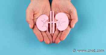 13 Best Foods for Optimal Kidney Health     - CNET