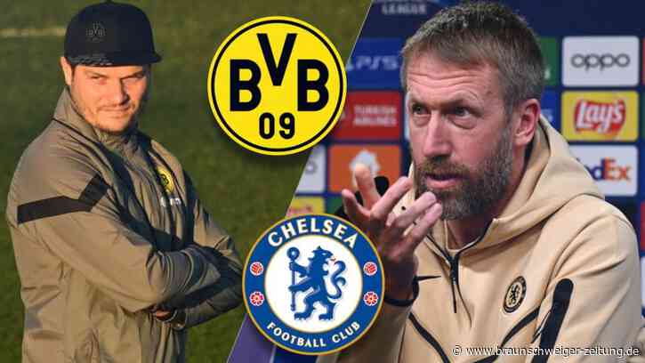 Potter adelt Terzic: "Er macht einen fantastischen Job"