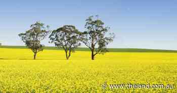 Choose a specialty crop to help navigate uncertainty