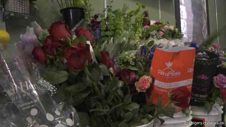 Despite tight times, businesses in Lethbridge feel the love on Valentine’s Day
