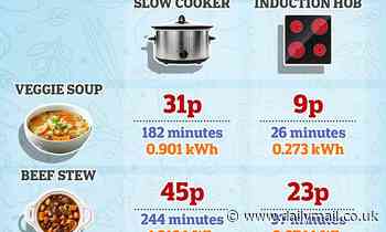 Slow cookers are up to three times more expensive to run than induction hobs