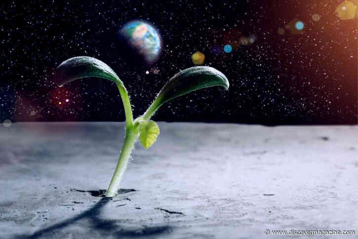 The New Best Place To Look For Alien Life: The Photosynthetic Habitable Zone