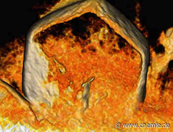 Fortschritte beim Schnellladen von Lithium-Metall-Batterien - in nur einer Stunde