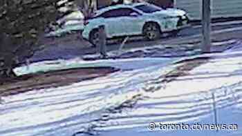 At least 2 suspects sought in Schomberg, Ont. drive-by shooting