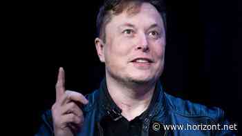 Umstrittener Eigentümer: Musk kündigt neuen Twitter-Chef zum Jahresende an