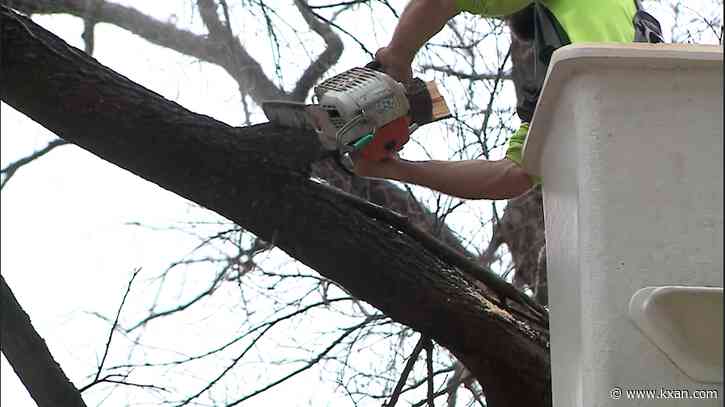 Austin could tap into federal dollars to help with tree trimming efforts