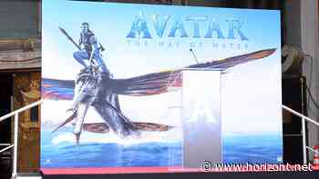 Dank Avatar, Minions, Top Gun: Deutscher Kinomarkt auf Erholungskurs