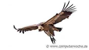 Druck auf Mitarbeiter steigt: Salesforce in den Fängen der "Aasgeier"