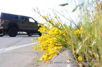 Regional District of Nanaimo develops online resource to help battle invasive plants