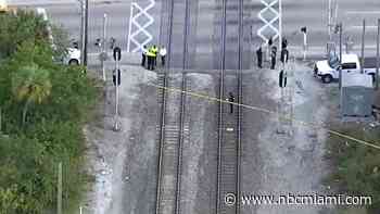 Pedestrian Struck and Killed by Train in Hollywood: Police