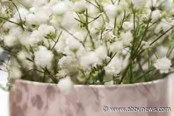 Show baby’s breath no love this Valentine’s Day, invasive species group warns