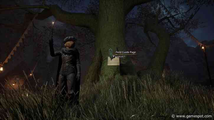 Hogwarts Legacy - All 31 Highlands Field Guide Pages
