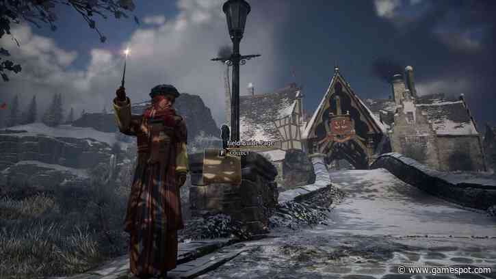 Hogwarts Legacy - All 55 Hogsmeade Field Guide Pages