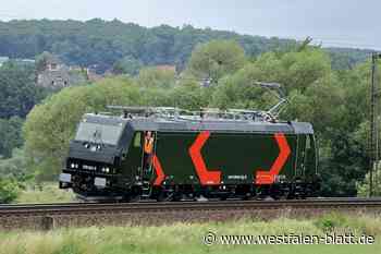 Viele Züge gesteuert: Gerhard Rose aus Bonenburg verlässt die Schiene
