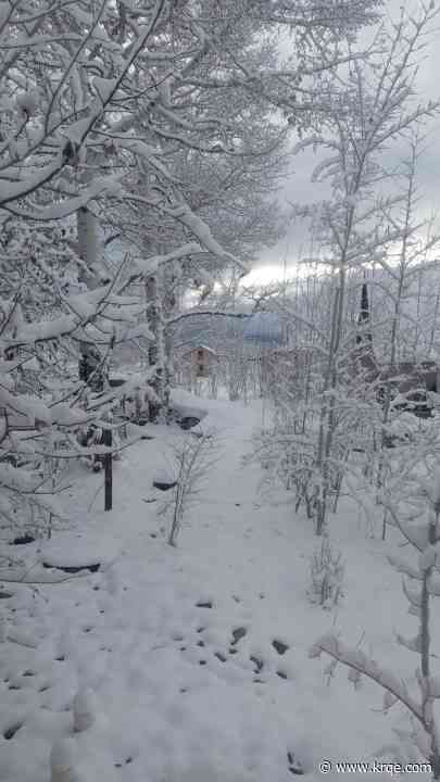 How much snow fell around New Mexico? Preliminary snow totals for February 14-15 storm