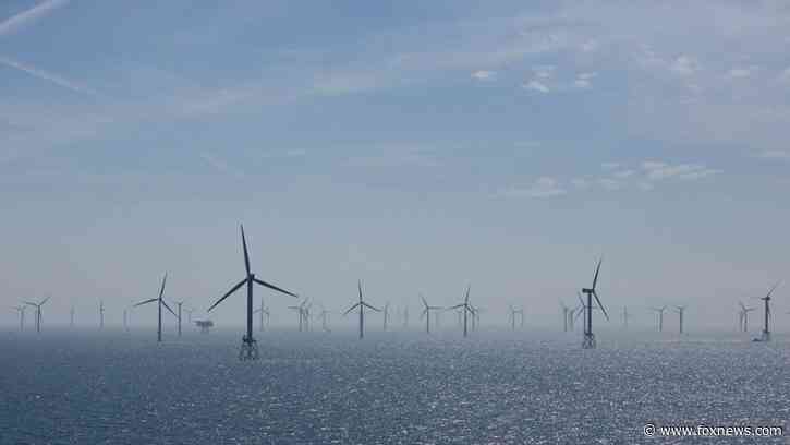 Fossil fuel profits are vital for green energy projects Dems routinely tout