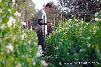 Ce mois-ci, venez visiter des fermes des Alpes-Maritimes pour découvrir l'agriculture paysanne
