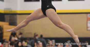 Girls gymnastics: Scouting this weekend's state finals