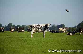 Das Problem mit den rülpsenden Kühen: Faktencheck zur ARD-Sendung "Wissen vor acht - Erde"