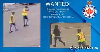 Police look for suspects after woman pistol-whipped in Pickering home invasion