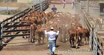 Farm groups riled by supermarket links to animal activists