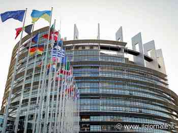 "Un cavallo di Troia". Ecco come l'Ue vuole imporre il "ddl Zan europeo"