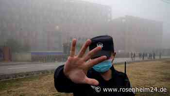 WHO drängt Peking: Mehr Studien über Coronavirus-Ursprung