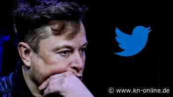 Twitter: Warum viele Nutzer nur noch Tweets von Elon Musk sahen