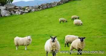 Trade deal is imminent while some UK farmers question its impact