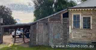 New direction for Yanga?