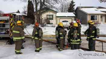 1 person, 2 dogs receiving medical care following house fire in the Maples