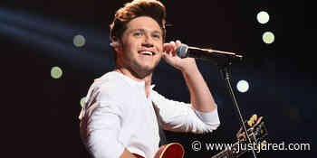 Niall Horan Reveals His Album Title & Release Date!