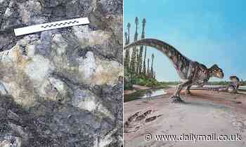 Dinosaur footprint measuring nearly 3 FEET long is the largest found in Yorkshire 