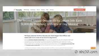 Company looking to pay someone $1k to watch dog movies