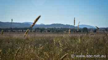 NSW lead mine would 'destroy' health 'for the sake of a few jobs', inquiry told