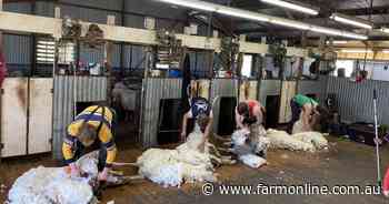 Shearing costs help blow budget by 35 per cent