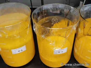 Forscher verwenden recyceltes Blei aus Autobatterien zur Herstellung von Fotodetektoren