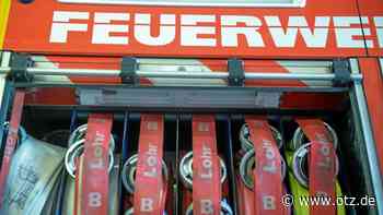 Feuerteufel treibt um Jenaer Friedensberg sein Unwesen