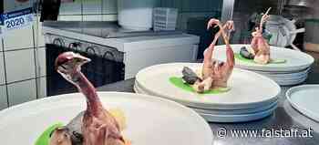 Kulinarisch Kurios: Aufgerichteter Kopf eines Vogels in Linzer Restaurant, teuerste Currywurst Deutschlands, Kochshow für Pamela Anderson