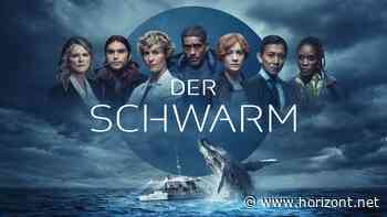 "Es pilchert mehr, als es schwärmt": Bestseller-Autor Frank Schätzing kritisiert ZDF-Verfilmung von "Der Schwarm"
